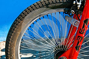 Bicycle Spokes and brakes on a Bicycle Wheel