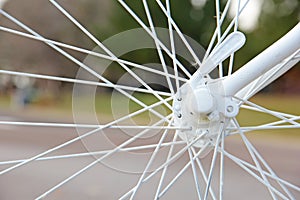 Bicycle Spokes Connected to Axle