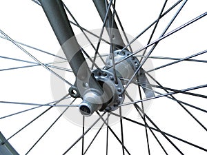 Bicycle spokes (isolated)