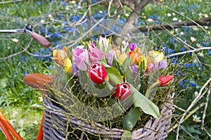 Bicycle and spring flowers in a basket