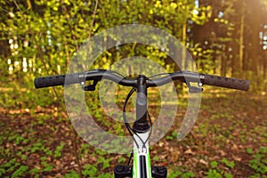 A bicycle in a spring forest against a background of greenery, grass and leaves.