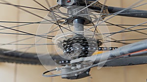 bicycle sprocket and chain