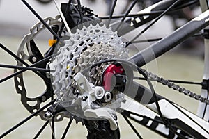 Bicycle sprockets and rear derailleur