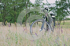 A bicycle stands in a meadow, in a tall grass with flowers, in the background trees are seen