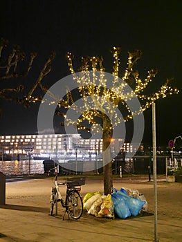 A bicycle stands at night under a tree illuminated with LED lights