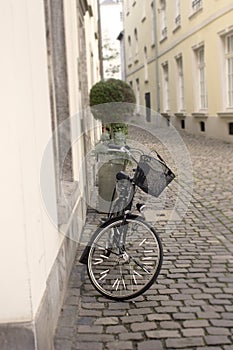 Bicycle on the street, on the pavement photo