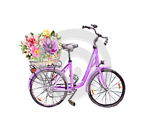 Bicycle and summer flowers in basket. Watercolor