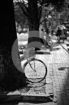 Bicycle in the sun