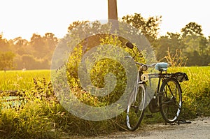 Bicycle at sunny day