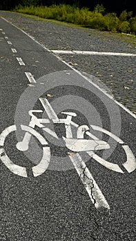 Bicycle symbol painted in white on damaged asphalt, indicating cycle path