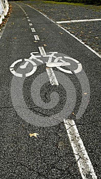 Bicycle symbol painted in white on damaged asphalt, indicating cycle path