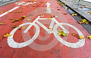 Bicycle symbol on a red bike path in autumn with yellow leaves