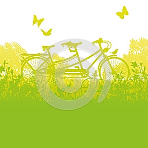 Bicycle and tandem in spring