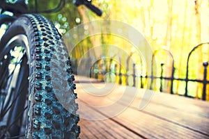 bicycle tire lying on the park bench photo