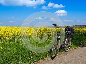 Activ Bicycle tour in spring