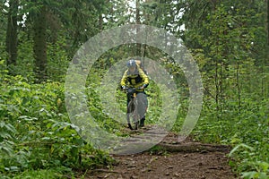 Bicycle tourist climbs a trail in a mountain autumn forest