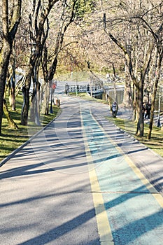 bicycle track drawn on a valley road from Alexandru Ioan Cuza Park in Bucharest.movement for a healthy lifestyle