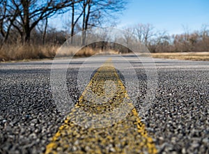 Bicycle trail line in the forest preserve during the day