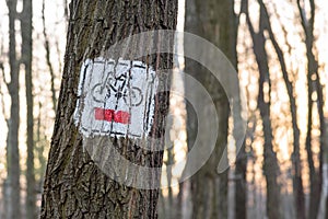 Bicycle trail sign on the tree