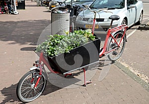 Bicycle with trolley