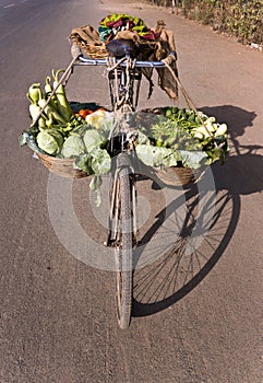 Bicycle & Vegetables