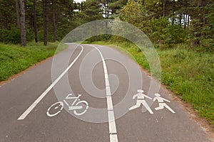 Bicycle and walking lane in forest