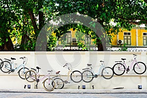 Bicycle wall
