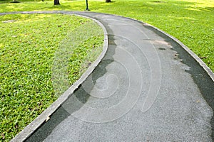 Bicycle way in green park