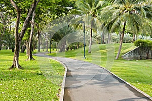 Bicycle way in green park