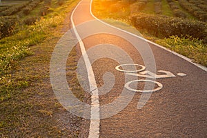 Bicycle way with symbol in evening time
