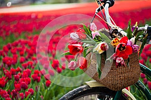 Bicycle with weaved basket