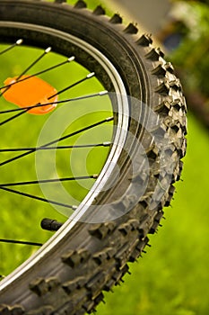 Bicycle wheel