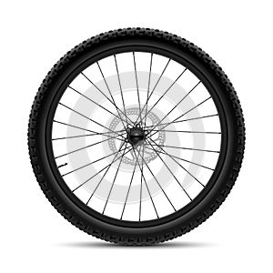 Bicycle wheel