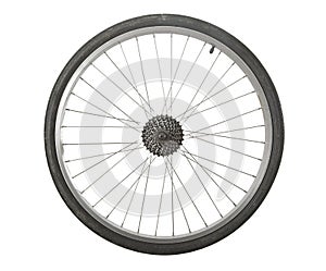 Bicycle wheel