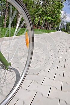 Bicycle wheel on an alley in a park