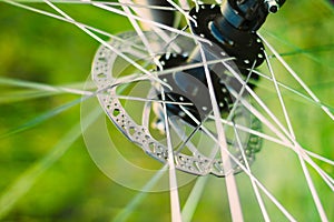 Bicycle Wheel Background. Close Up Spokes