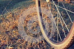 Bicycle wheel close-up on impassability in an autumn forest.