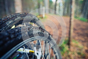 Bicycle wheel in forest dirt