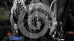 Bicycle wheel gear and chain in motion