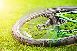 Bicycle wheel on green grass