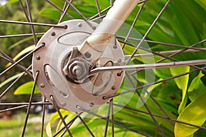 Bicycle wheel hub