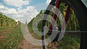 Bicycle wheel in motion along country road, close-up