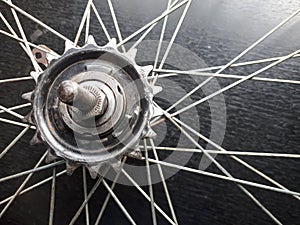 a bicycle wheel.  the photo was taken up close and the pinion and spokes of the wheel can be clearly seen