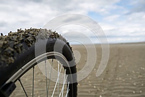 Bicycle wheel resting on a seashell-covered sandy beach, illustrating the concept of bike rides on a cloudy day