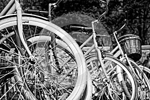 Bicycle wheel in a row close-up wheel detail, bicycle spoke.