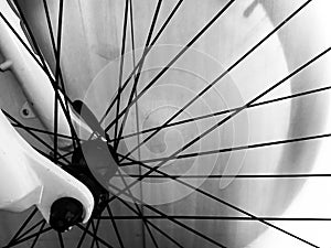 Bicycle wheel, spokes. Bike.Mountain bike. Black and white wheel with spokes.Sport.