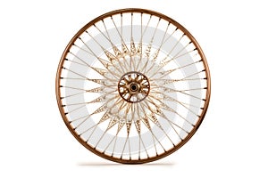 bicycle wheel with spokes and hub isolated