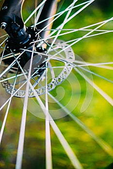 Bicycle Wheel In The Summer Green Grass Meadow