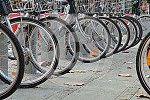 Bicycle wheels