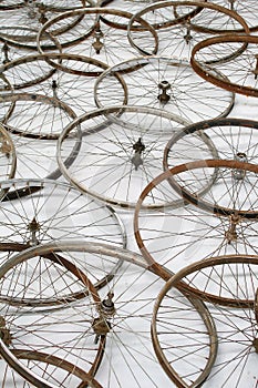 Bicycle wheels